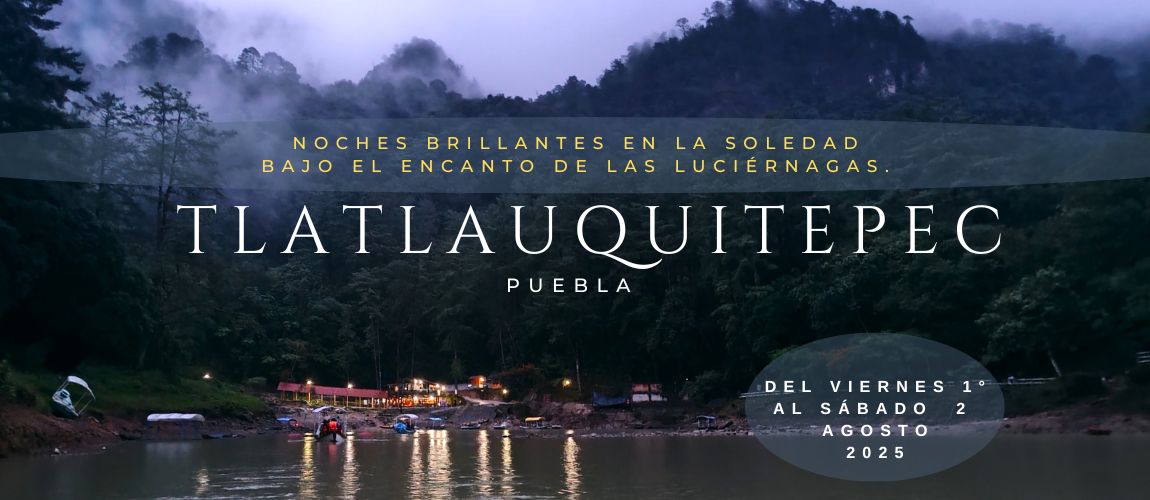  Noches Brillantes en la Soledad bajo el encanto de las luciérnagas. Tlatlauquitepec, Puebla