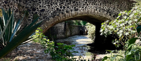 Ruta Gastronómica